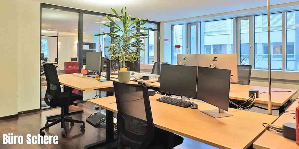 Attraktive Büro- & Gewerbefläche Toplage EG + 1. OG, 8.5 Zimmer - Ansicht 4
