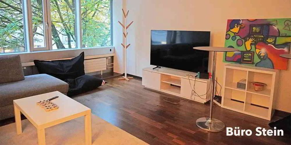 Attraktive Büro- & Gewerbefläche Toplage EG + 1. OG, 8.5 Zimmer - Ansicht 5