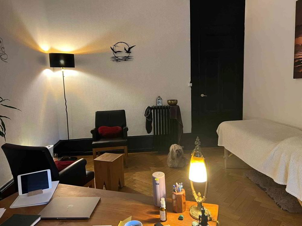 1 rooms Office & Commercial for rent in Genève - image 1/5