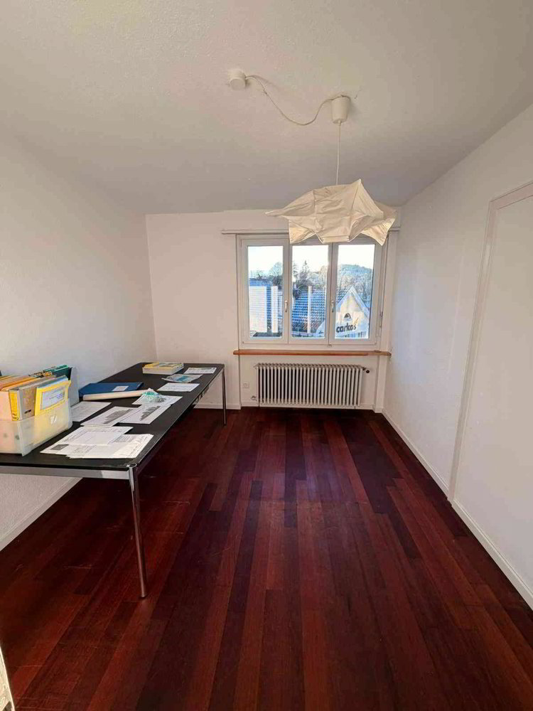 Grosszügige 7.5-Zimmer Gewerbefläche mit Garten und Doppelparkplatz - Ansicht 5