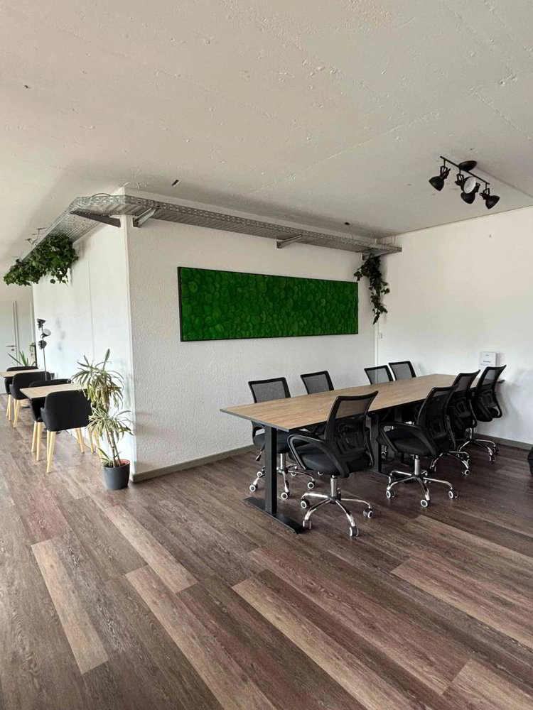 Bureau & Commerce 4 pièces à louer à Carouge GE - image 1/6