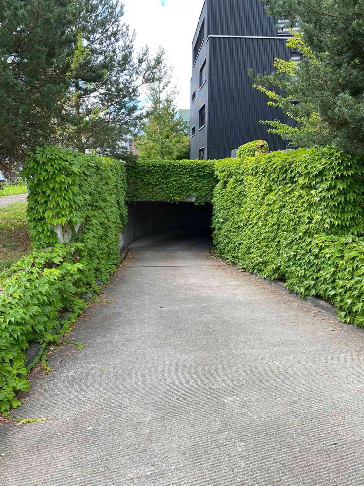 null rooms Car park, garage for rent in Balgach - image 1/5