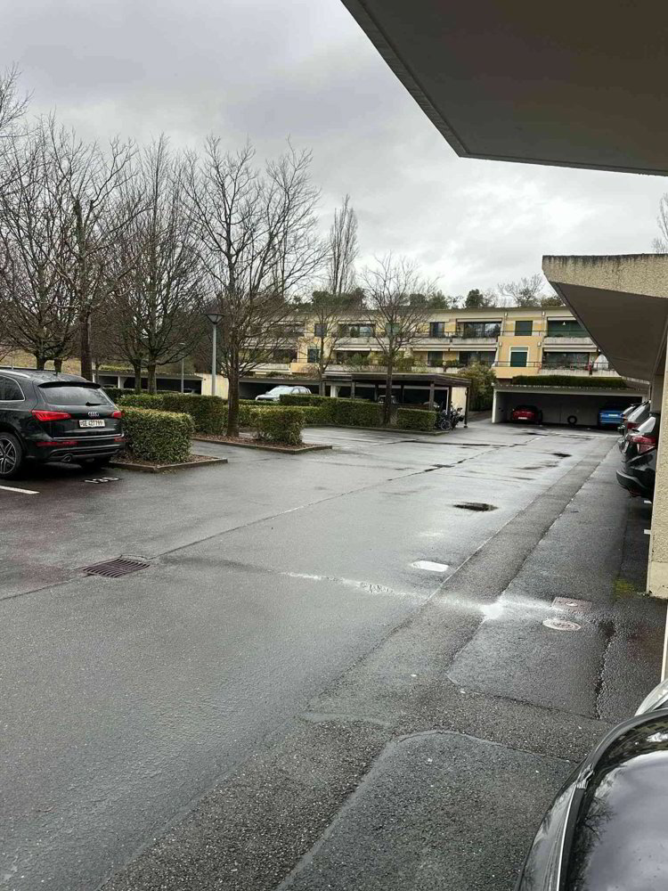 null rooms Car park, garage for rent in Chêne-Bourg - image 1/3