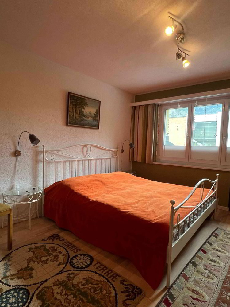 Wohnung – Glis - Ansicht 2