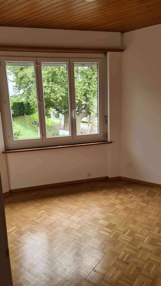 Haus – Pregassona - Ansicht 2