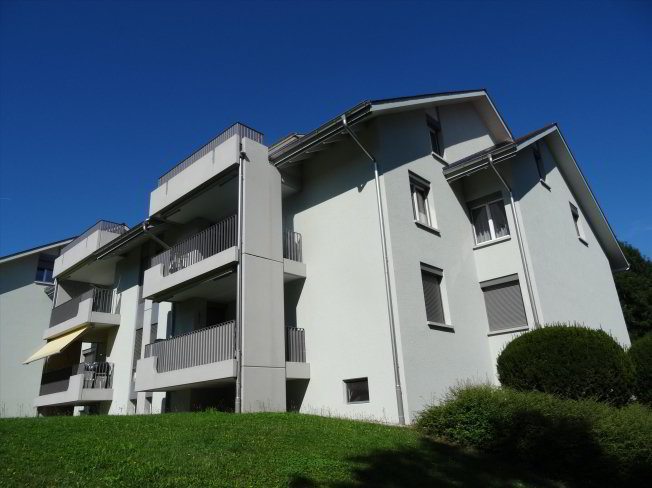 Appartamento di 3 locali in affitto a Wallisellen - immagine 1/1