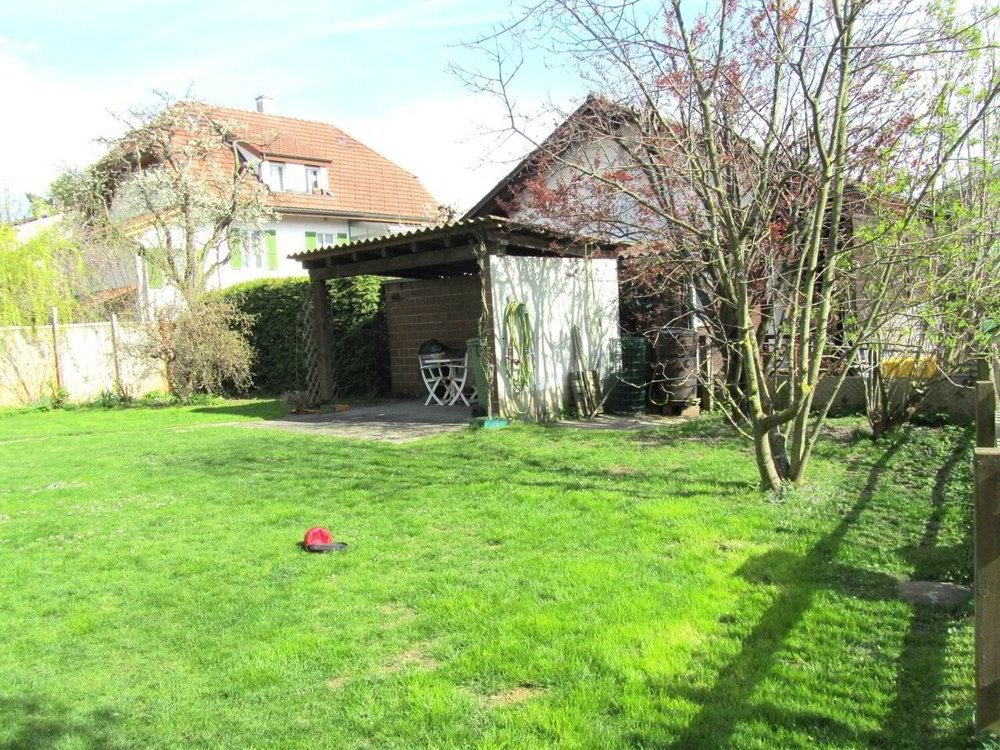 Appartement 4 pièces à louer à Thoune - image 1/10