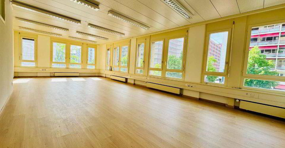 Bureaux de 235 m² aux Acacias. - Ansicht 5