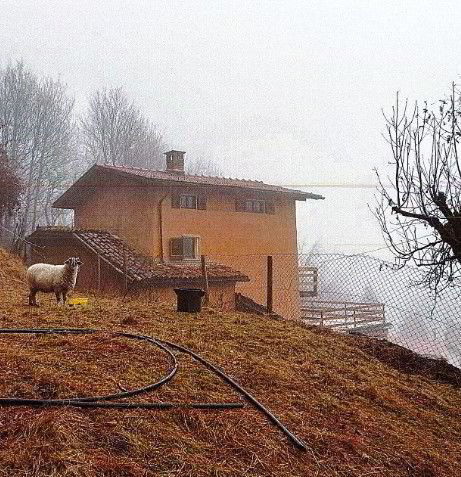 Haus – Bidogno - Ansicht 2
