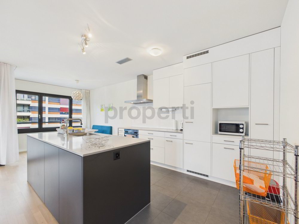 Wohnung – Opfikon - Mehr