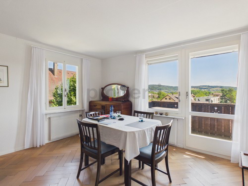 Haus – Brugg AG - Ansicht 5
