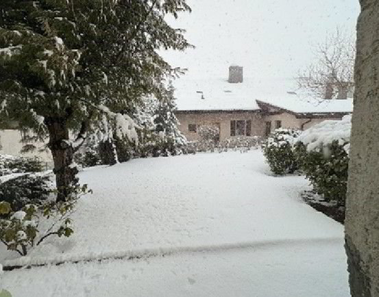 Haus – Nods - Ansicht 3