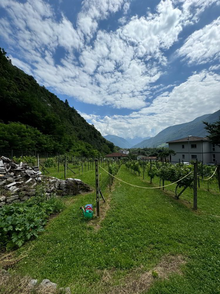 Terreno edificabile pianeggiante in vendita a Cresciano, 6705 Riviera - Ansicht 2
