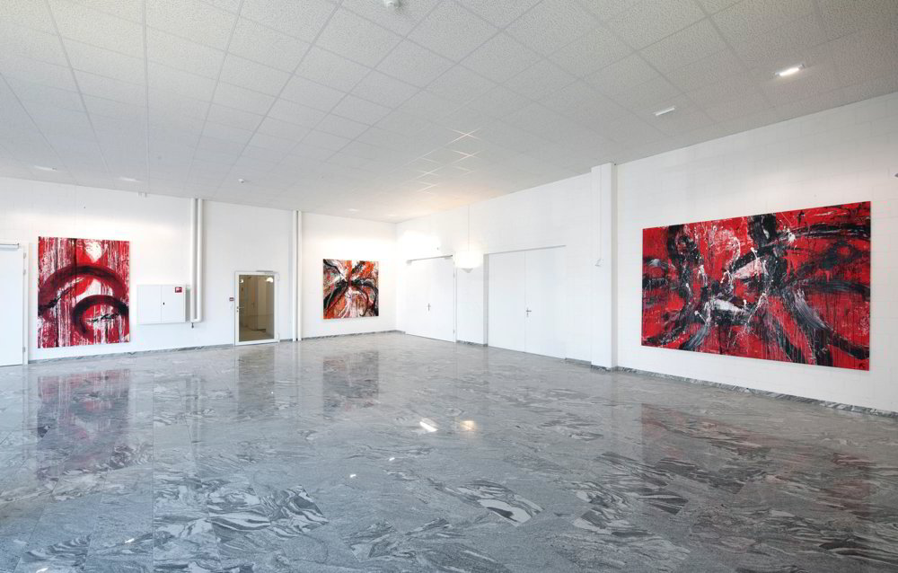 6 rooms Office & Commercial for rent in Birsfelden - image 1/10