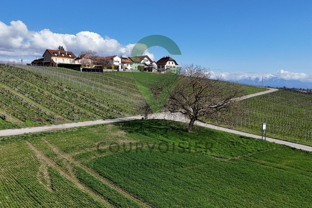 7 rooms House to buy in Morges - image 1/13