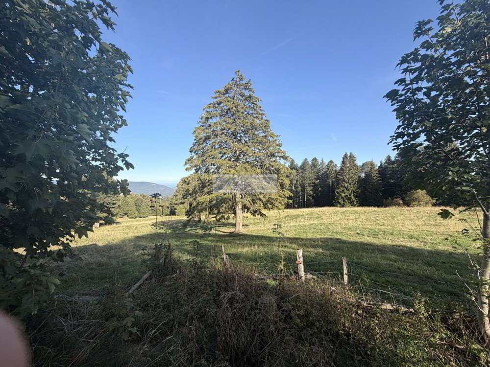 Haus – Rochefort - Mehr