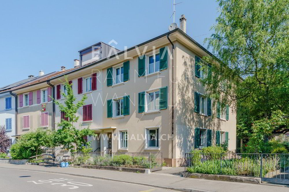 Ein eigenes Haus in Basel: Garten, Ertrag und viel Spielraum