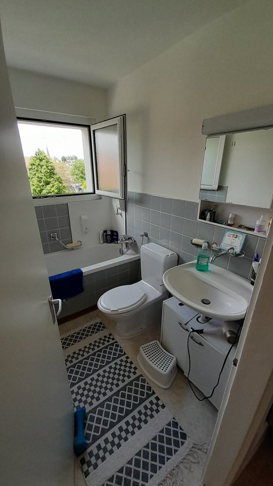 4 Zimmer Wohnung zu vermieten in Gurmels - Bild 1/5
