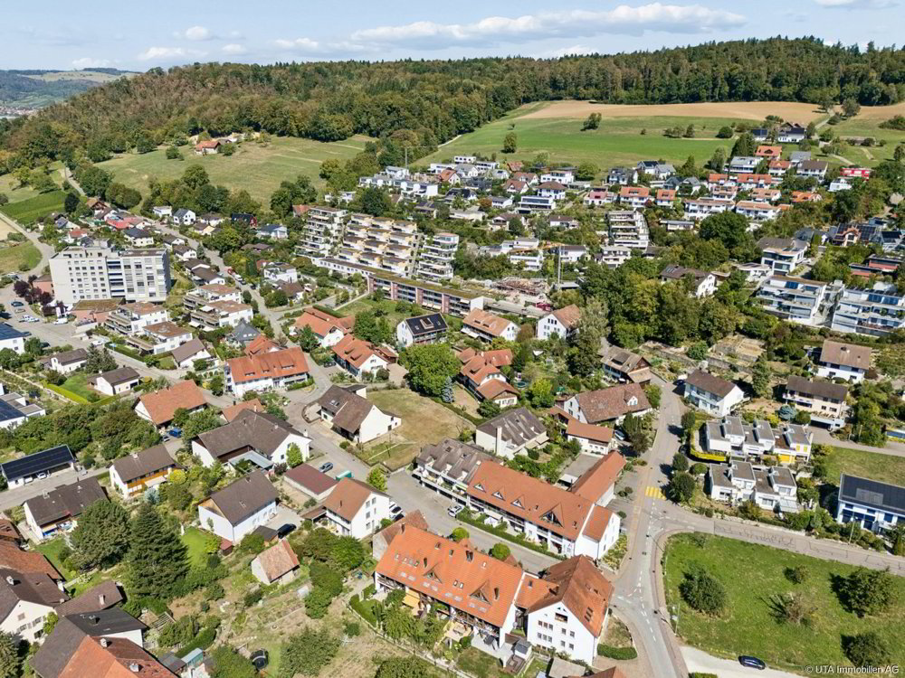 3.5 rooms House to buy in Untersiggenthal - image 1/16