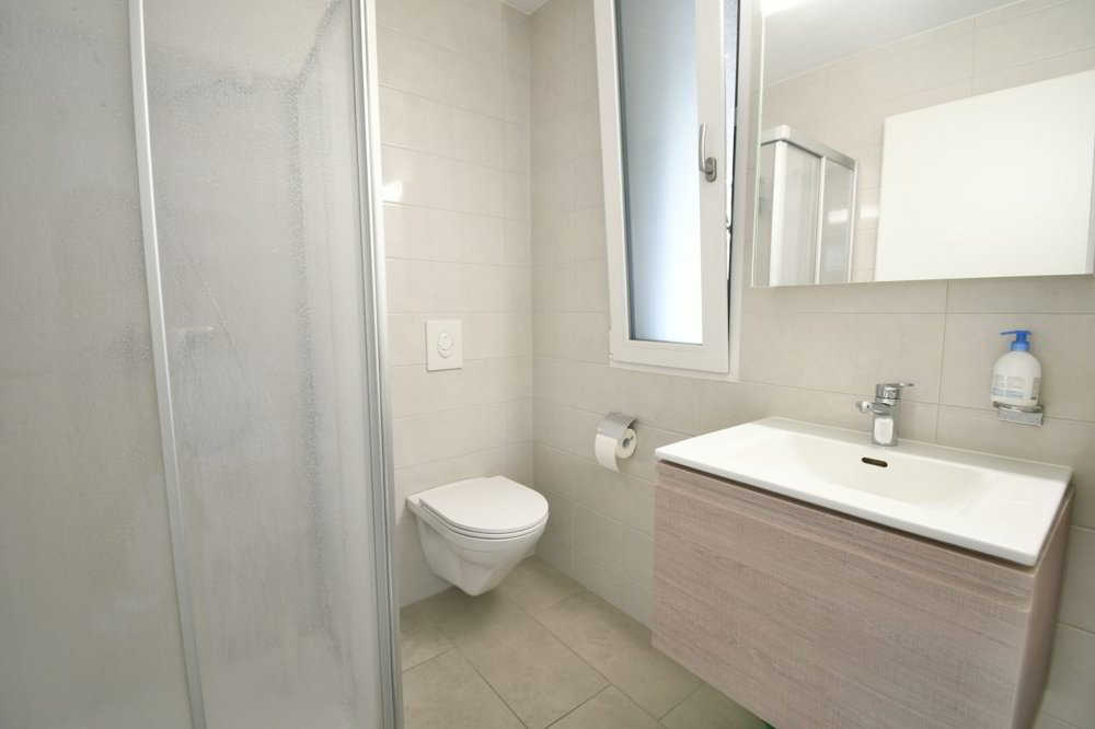 1 rooms Apartment for rent in Renens VD - image 1/5