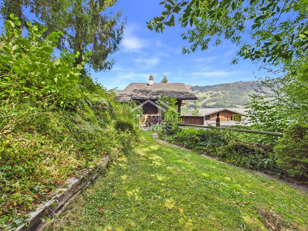 5 Zimmer Haus zum verkaufen in Zweisimmen - Bild 1/12