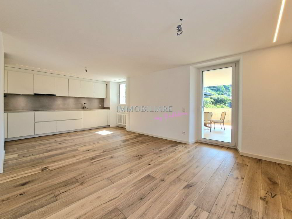 Wohnung – Gambarogno, Orgnana - Ansicht 2