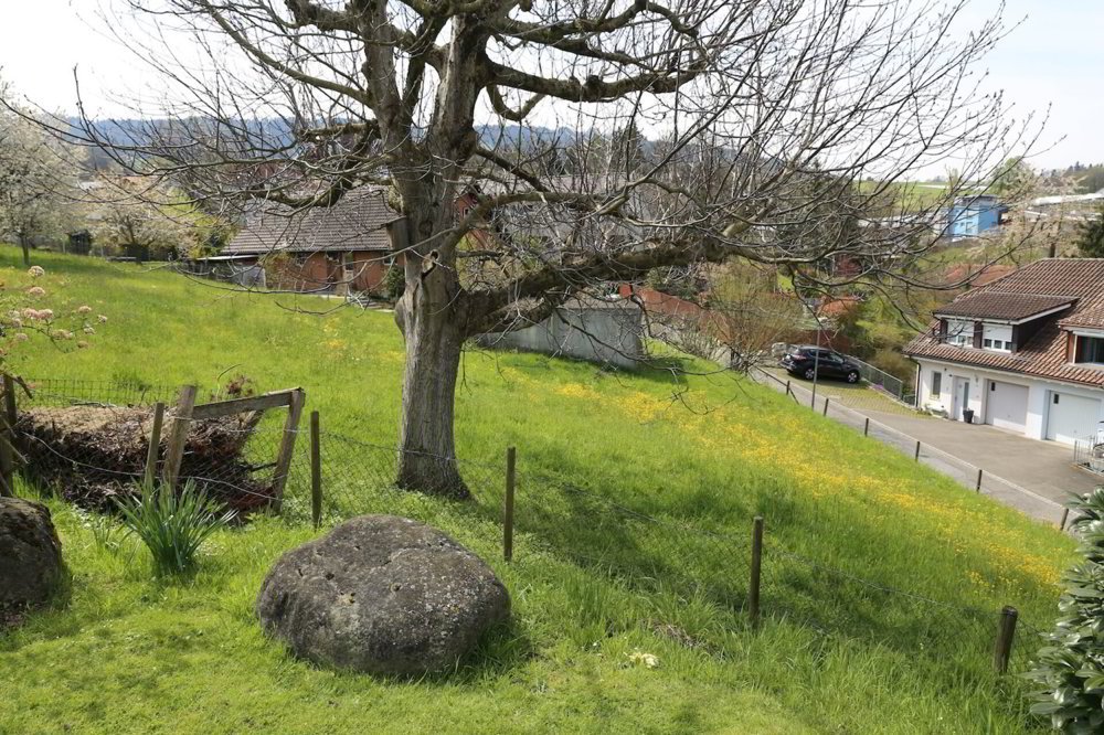 Haus – Goldach - Mehr