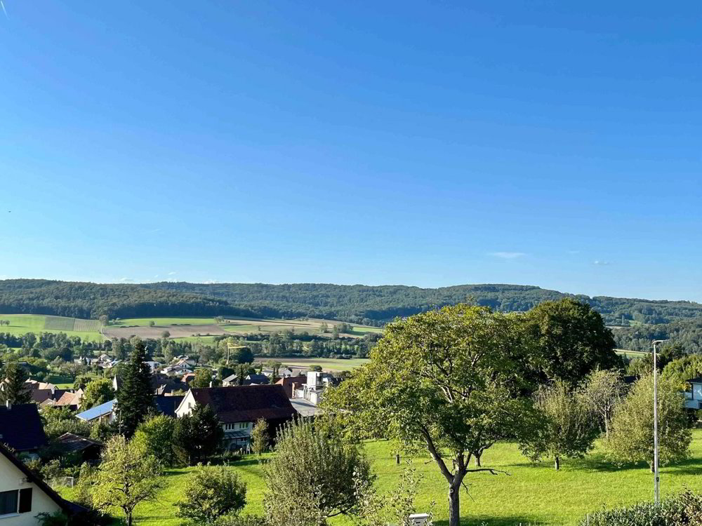 6 rooms Apartment to buy in Biel-Benken BL - image 1/8
