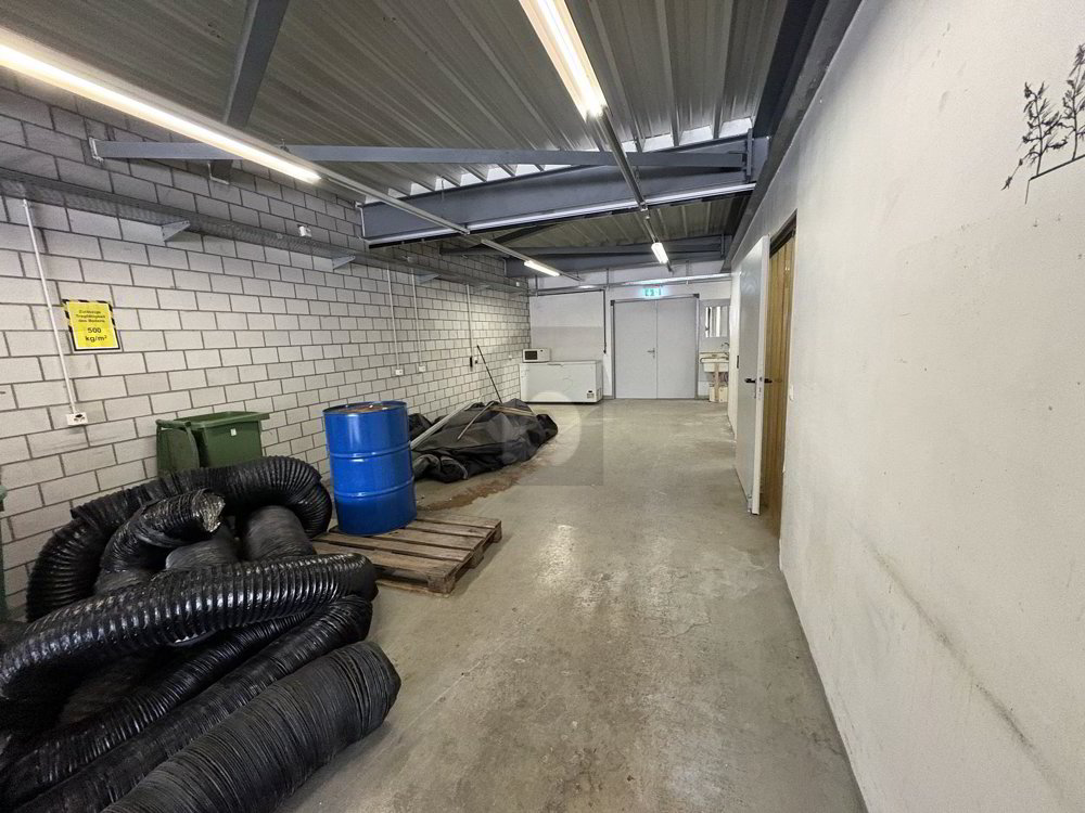 VIELSEITIG NUTZBARE FLÄCHE - Ansicht 3