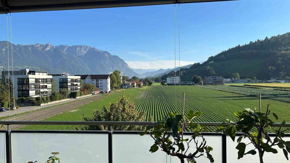 Appartamento di 4.5 locali in vendita a Buchs SG - immagine 1/13