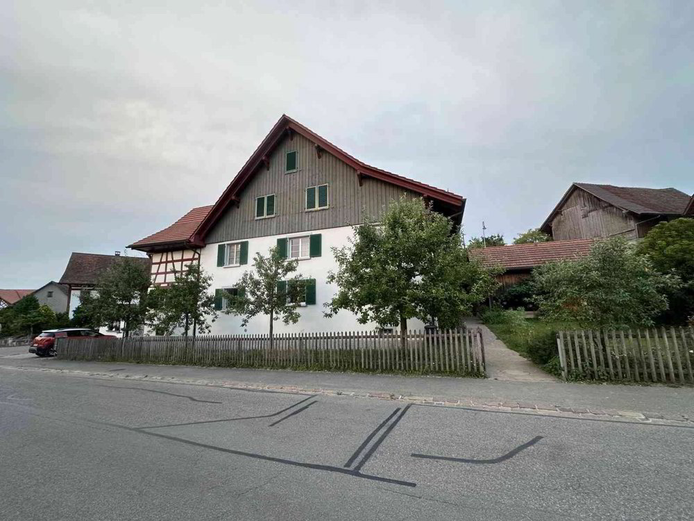 Appartamento di 2 locali in affitto a Guntalingen - immagine 1/13