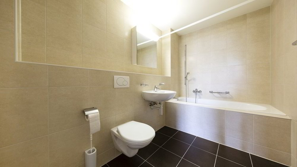 Appartement 1 pièces à louer à Wangen an der Aare - image 1/5