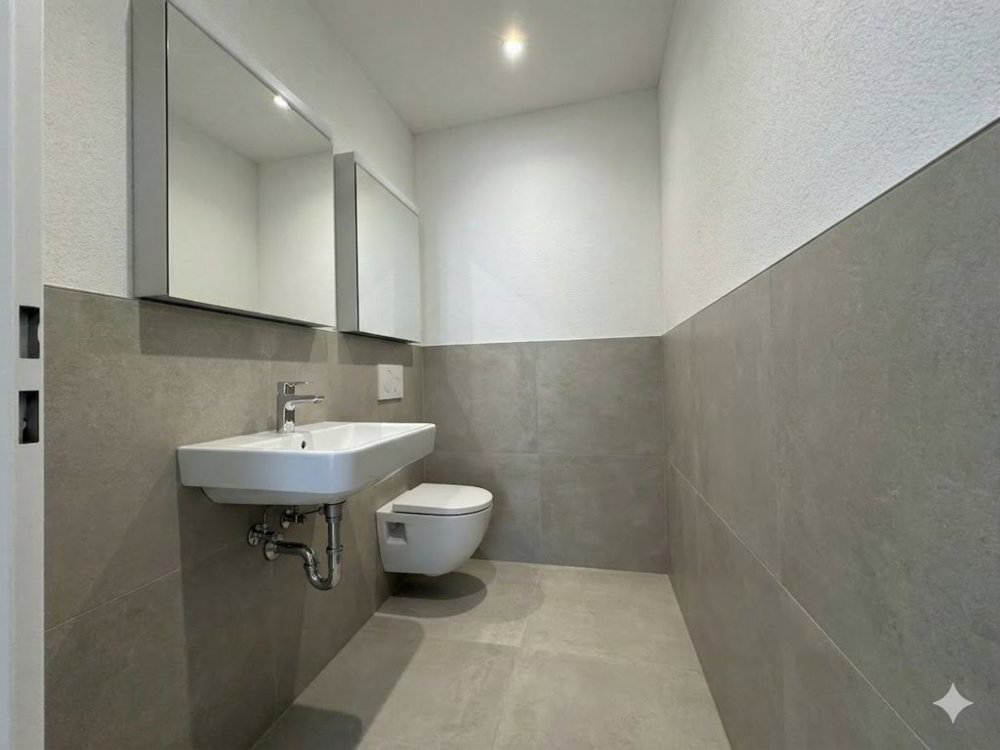 Appartement 4 pièces à louer à Oberbuchsiten - image 1/7