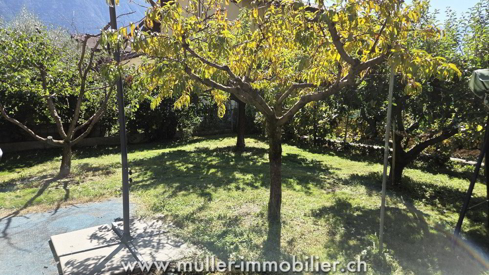 Haus – Fully, Euloz - Mehr