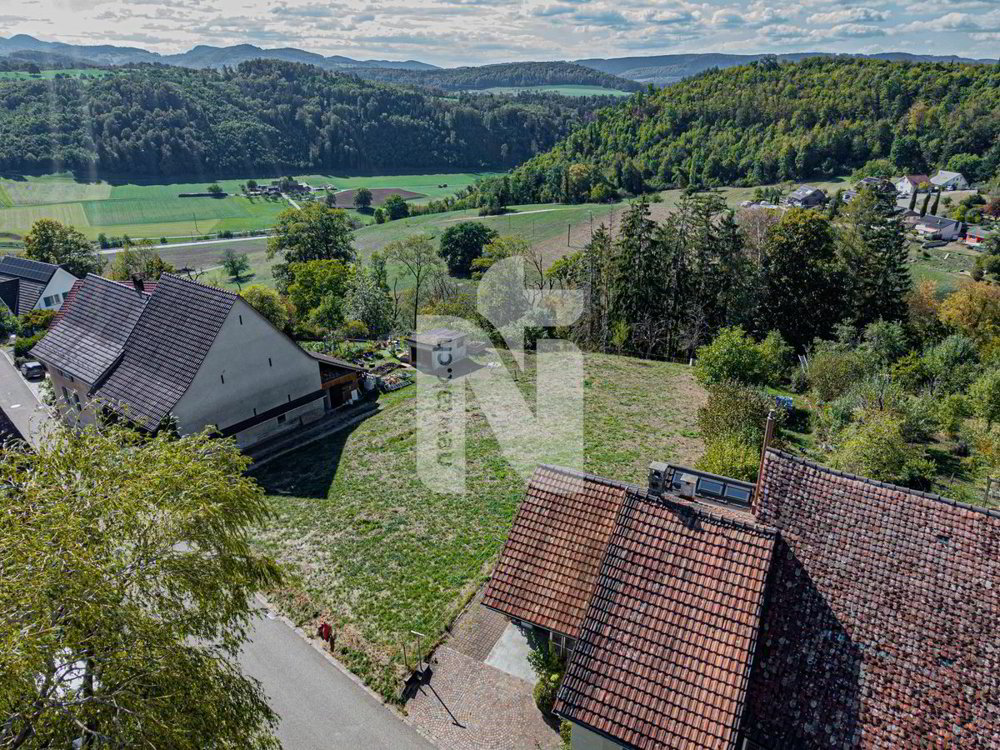 Terrain null pièces à acheter à Ramlinsburg - image 1/4