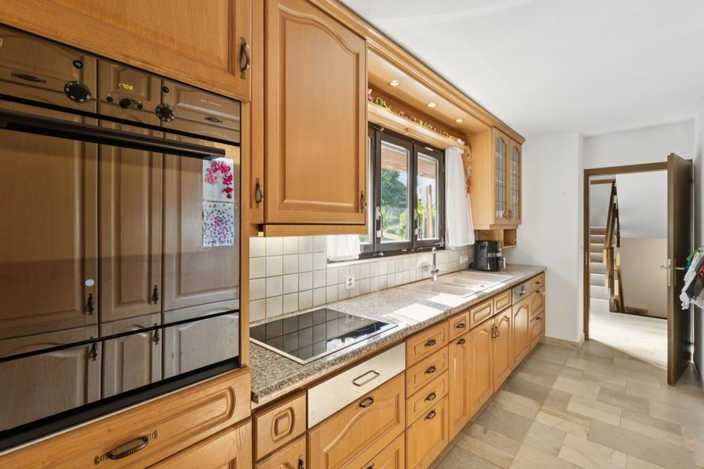 Haus – Horgen - Ansicht 4