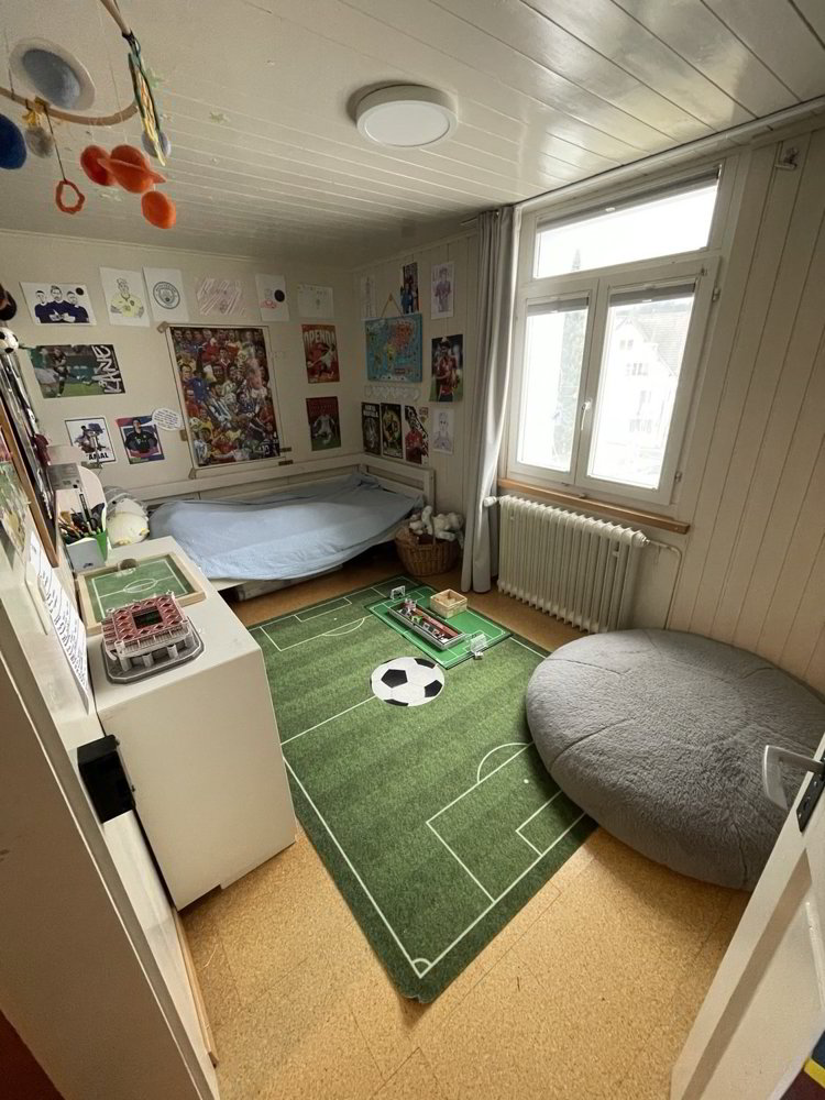 Haus – Trogen - Mehr