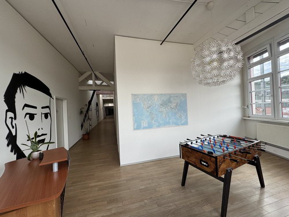 Open space de 1 pièce en location à Liestal - 99 m² - Mehr