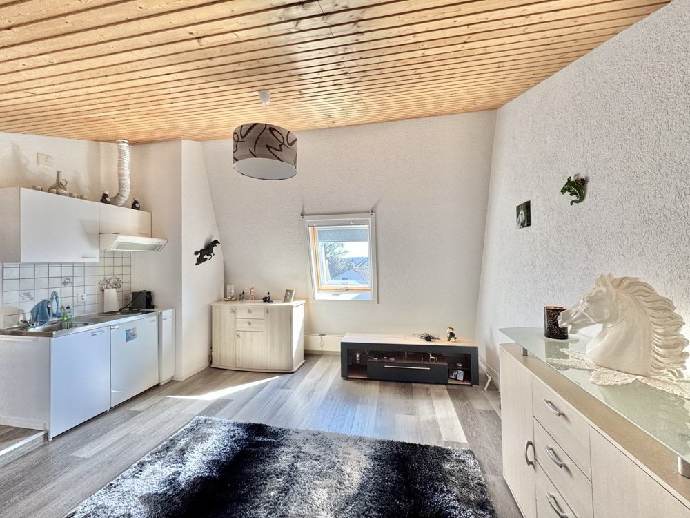 Haus – Dachsen - Mehr