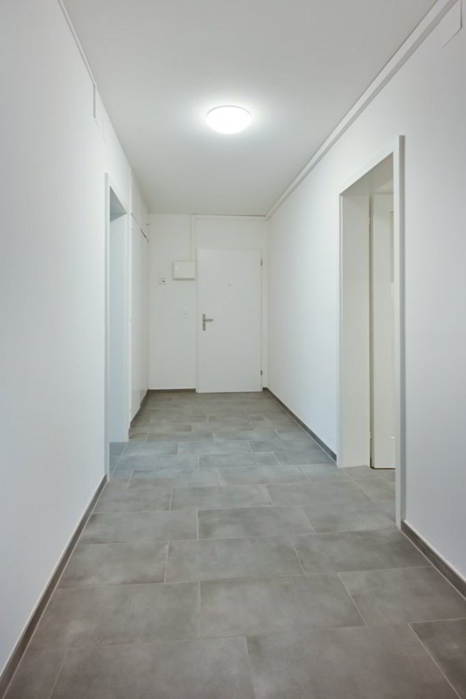 Appartamento di 3 locali in affitto a Bâle - immagine 1/7