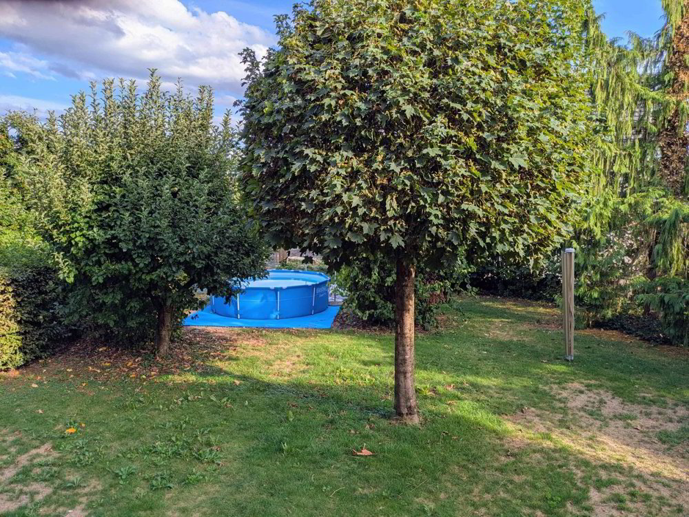 5 rooms House for rent in Niederbuchsiten - image 1/13