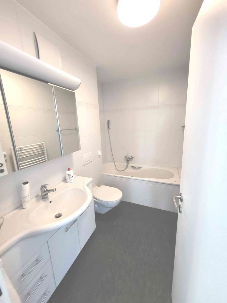 4.5 rooms Apartment for rent in Therwil - image 1/8