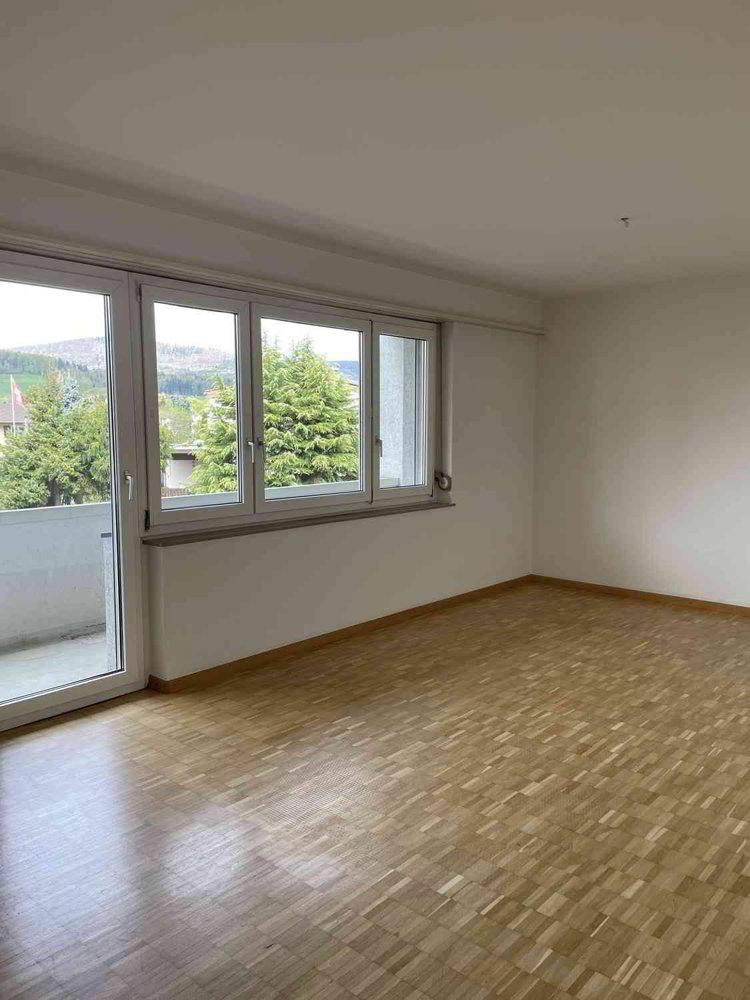 Wohnung – Schönenwerd - Mehr