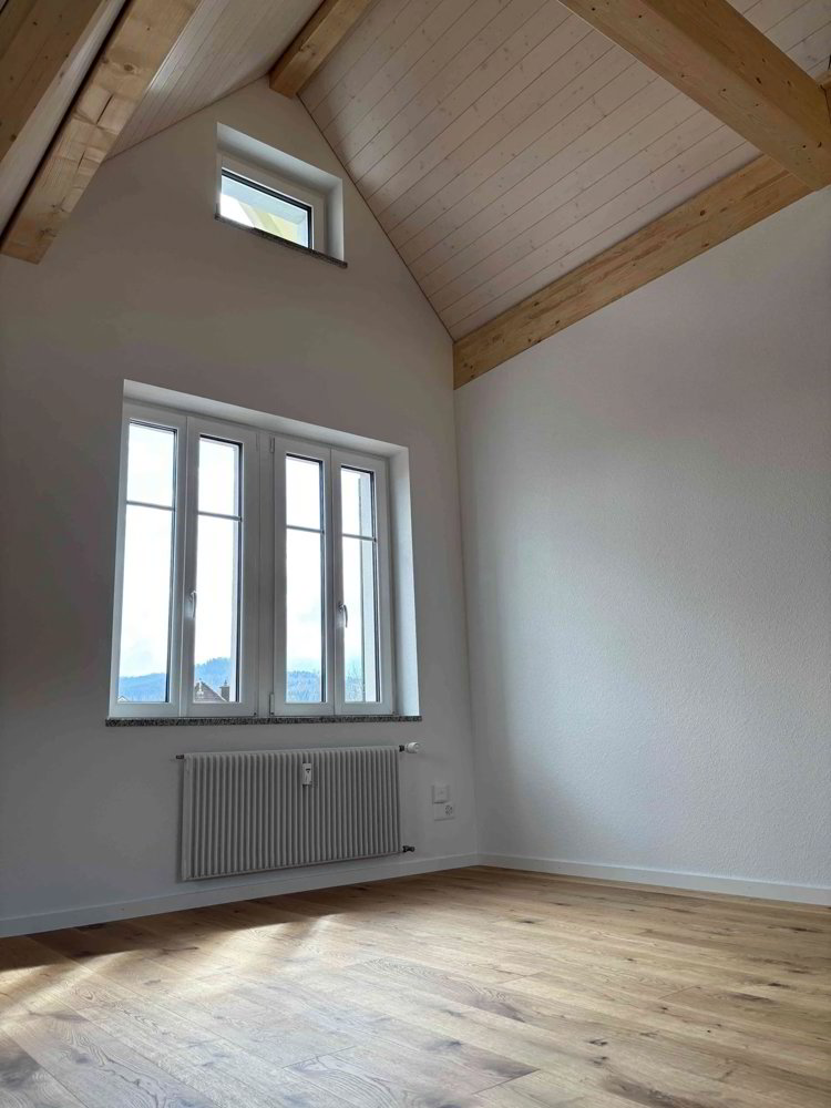 Wohnung – Laufen - Mehr