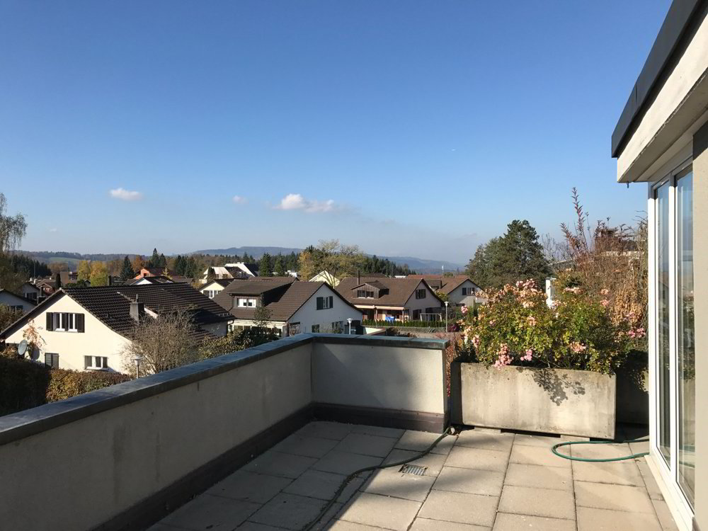 4 Zimmer Wohnung zu vermieten in Birmensdorf ZH - Bild 1/12