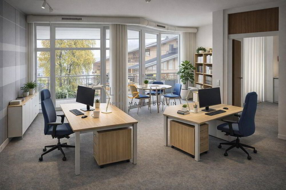 Surface commerciale de 462 m² - Ansicht 3