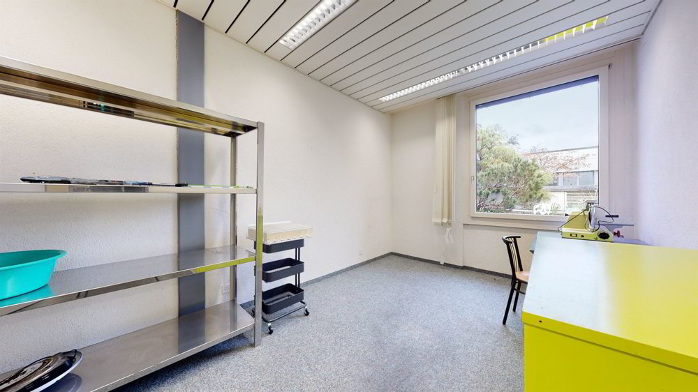 null rooms Office & Commercial for rent in Oberentfelden - image 1/12
