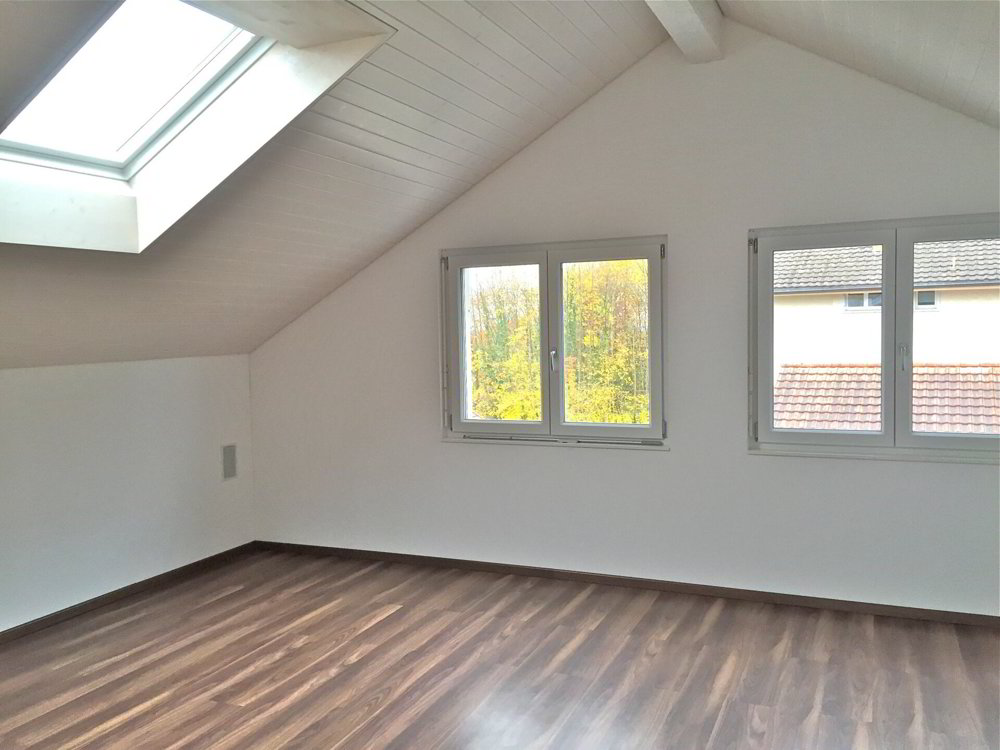 Grosszügige Wohn- und Gewerbeliegenschaft mit Werkstatt, Galerie und Parkplätzen - Ansicht 5