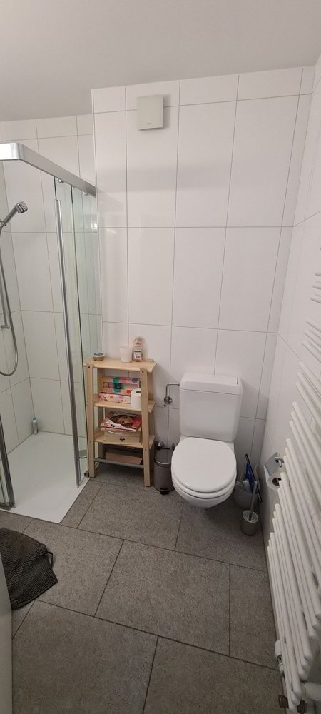 Appartamento di 5.5 locali in affitto a Nidau - immagine 1/4