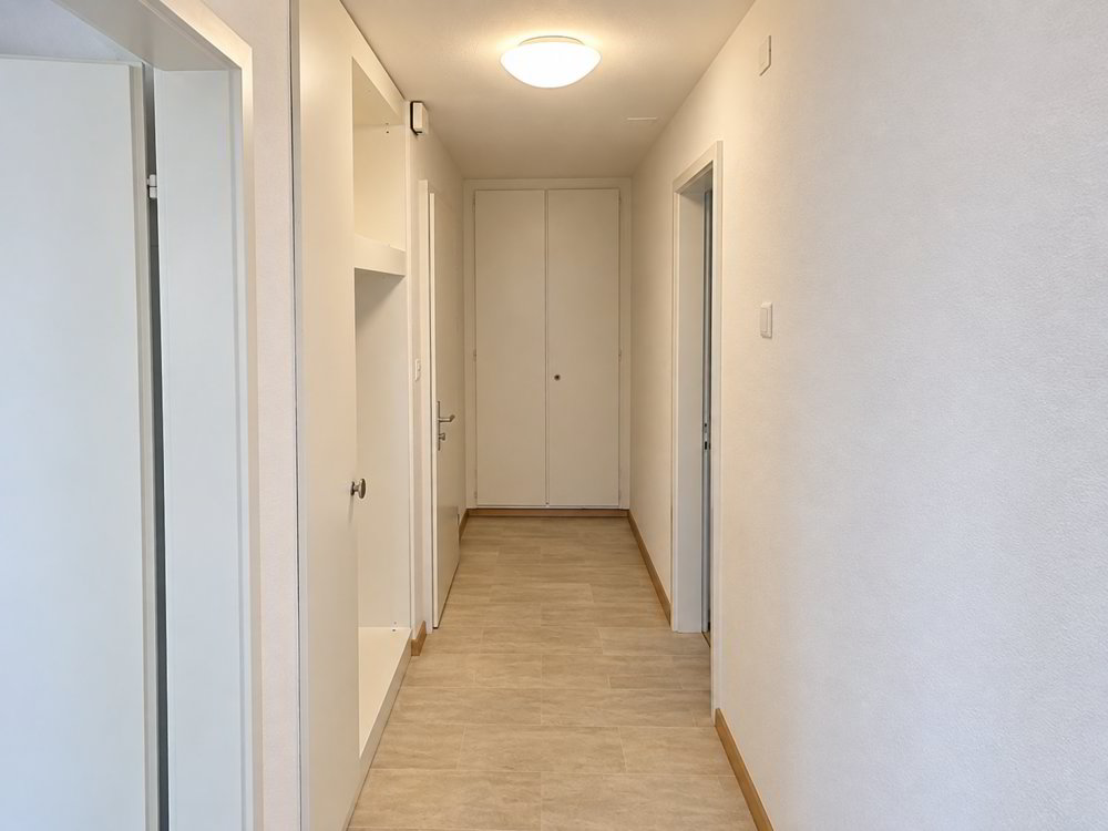Appartement 2.5 pièces à louer à Dulliken - image 1/7